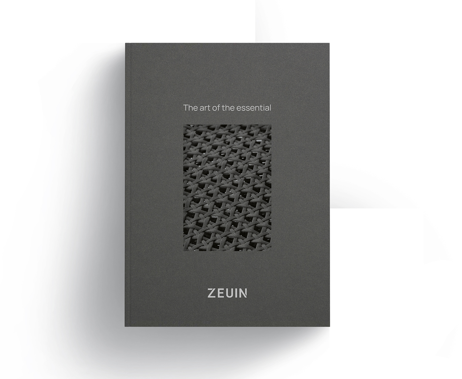 MOCKUP_Home__0005_Capa 1