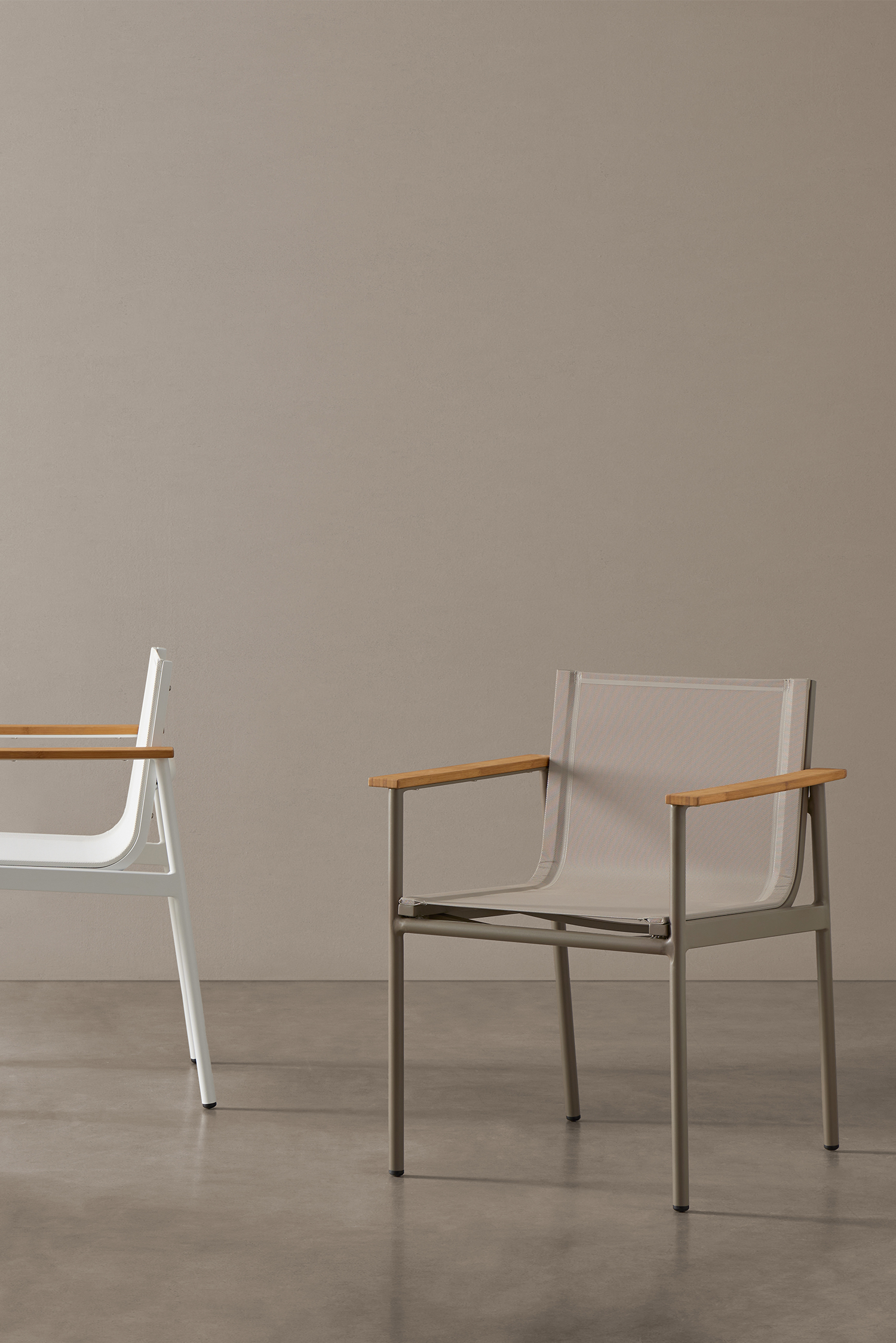 silla-italic_0000_ZAVOTTI 2 2024 10 11522 copia