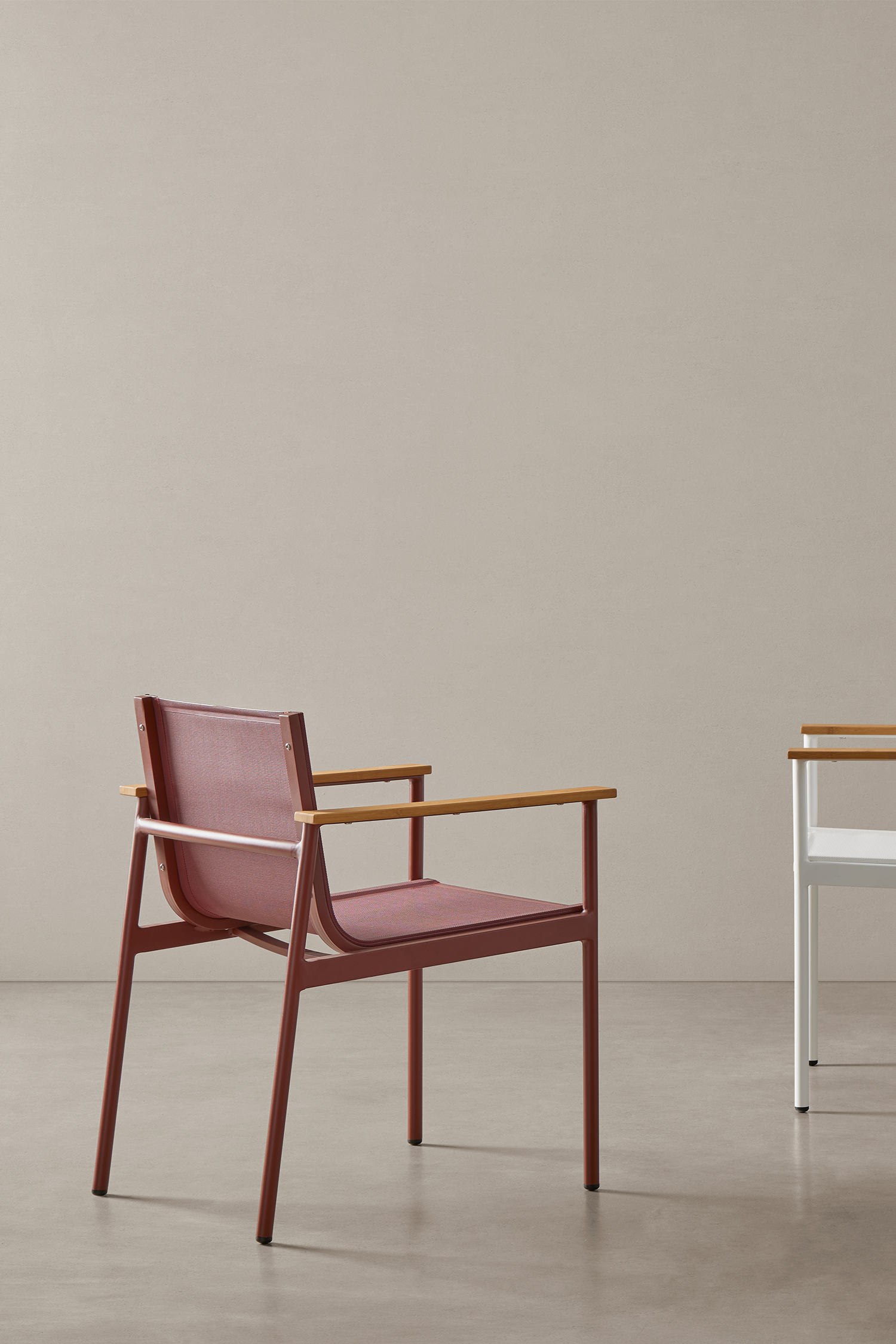 silla-italic_0001_ZAVOTTI 2 2024 10 11522
